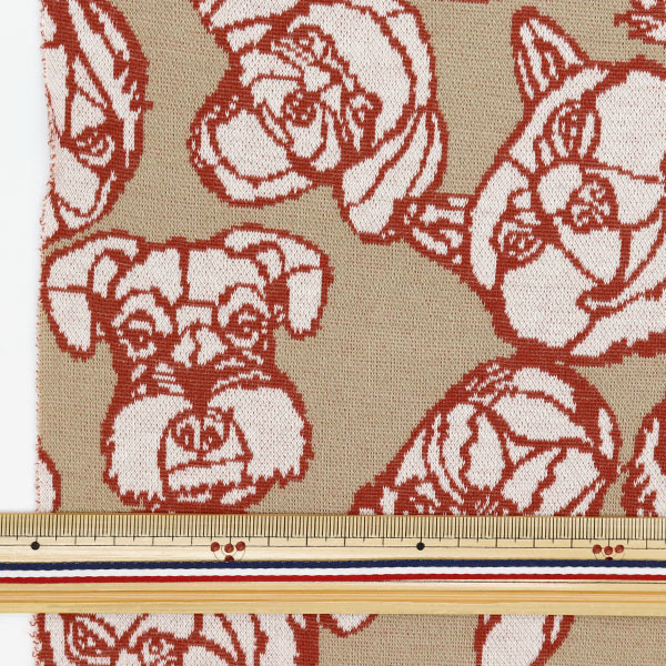 �ڿ���5����� ���� ��HAyU �˥åȥ��㥬���� DOG �֥饦�� EGX-7715-2C�� KOKKA ���å�