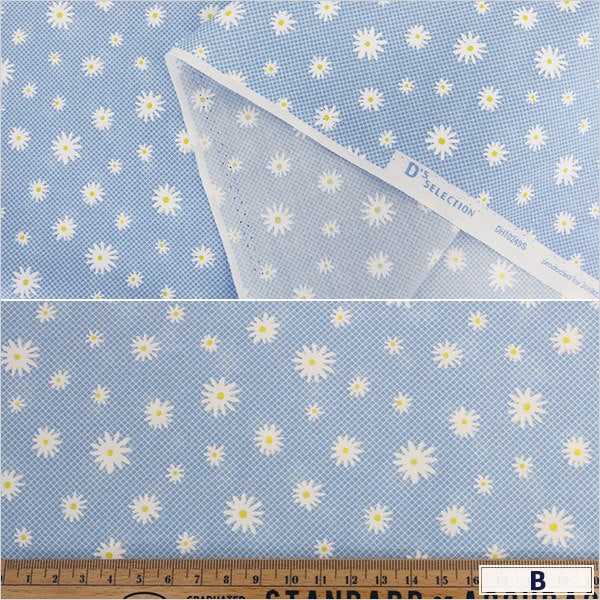 �ڿ���5����� ���� �إ����� �ۡ��ߡ����쥯����� �ޡ�����å��� DH10249S-D��