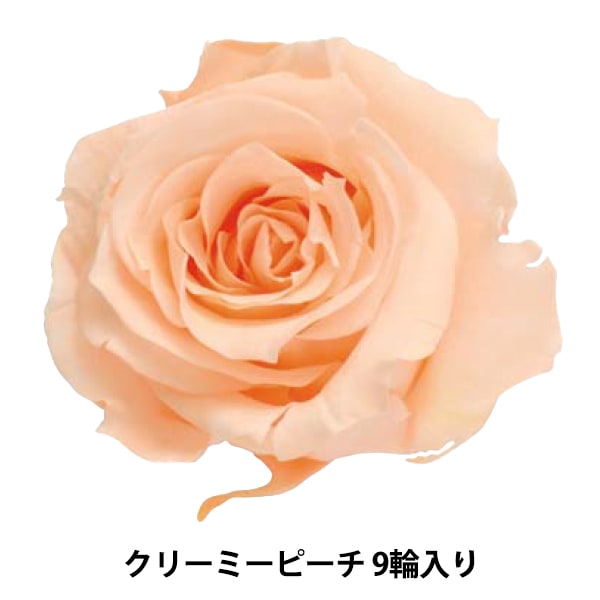 プリザーブドフラワー 『ローズ いずみ ブライダルピンク 9輪入り