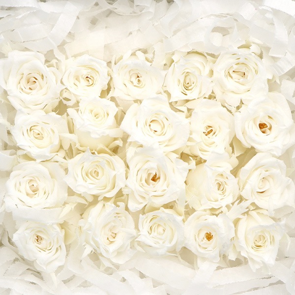 F04 プリザーブドフラワー まとめ売り ピッコラブロッサムローズ