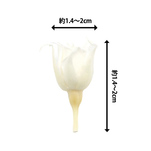 Fleurir パウダー ホワイト 500g Fleurir パウダー ホワイト 500g Fleurir パウダー ホワイト 500g お