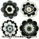 �ڿ���5����� ���� �إ��å��� ���� �� 99094-1D��