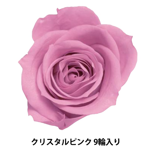 プリザーブドフラワー 『ミニカーネーション ミルフィーユ ホワイト