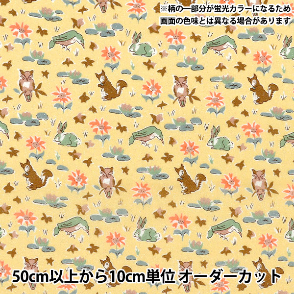 数量5から】 生地 『LIBERTY リバティプリント 11号帆布 ルイズ