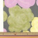 �ڿ���5����� ���� �ؤ��ᤳ���� ���å��� ���äȤ� ���졼�ߥѡ��ץ� ACS1144-C�� COTTON KOBAYASHI ���åȥ󤳤Ф䤷 ��������