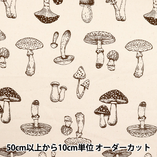 きのこ 小さなきのこ/Mushroom | こどもマルクト | ヨーロッパ発輸入