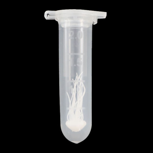 レジン封入パーツ 『Miniature Parts ミニチュアパーツ クラゲ大 RCH