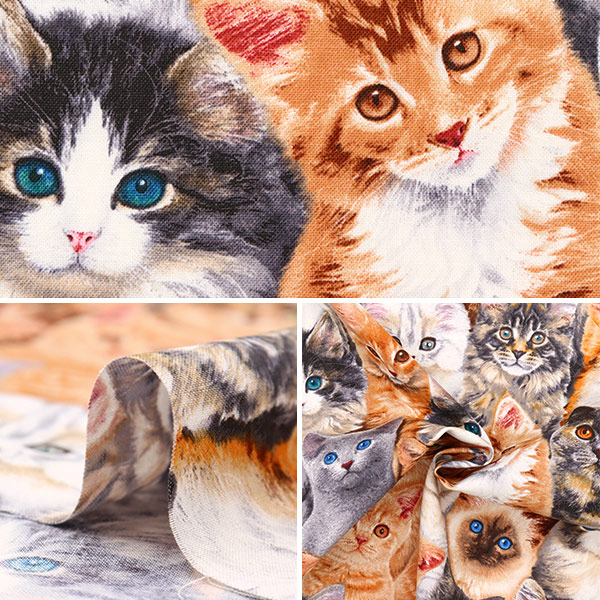 ゆちュさん専用　激レア　パラサナ縞斑　総柄 えっくす☆きゅーと15thシリーズ「Melty☆Cute/Little Punkish