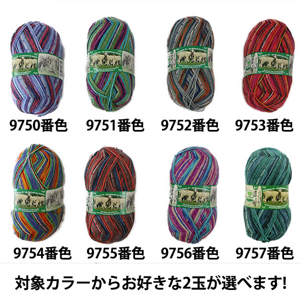 オパール毛糸 11玉 Opal毛糸＆編針特別セット『Schafpate XI 4ply (シャーフパーテ11) ＋