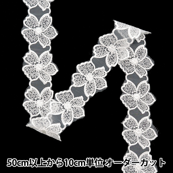 ア*ー様 ❤️開花株❤️ワサワサボリューム株❤️ 1127ふんわり