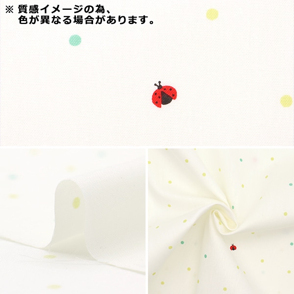 数量5から】 生地 『ホーミーコレクション てんとう虫 ピンク DH10422S  