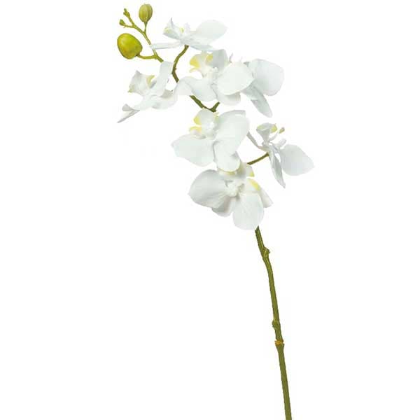 造花 シルクフラワー 『ラナンキュラス クリームホワイト A-31841-011