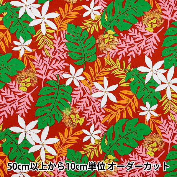 ڽղϥ ڿ5  إ֥ ϥ磻ץ ꡼ å 282-A-RE