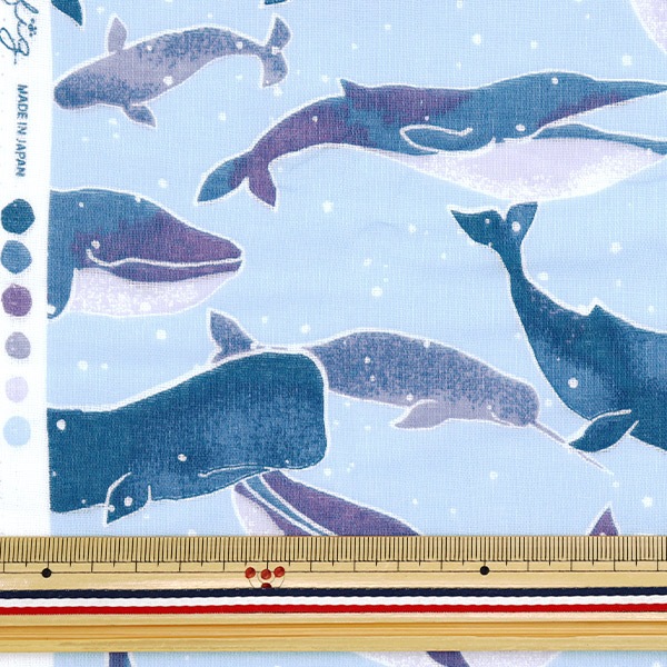 青いクジラ 61dWhqI7H8L.jpg_BO30,255,255,