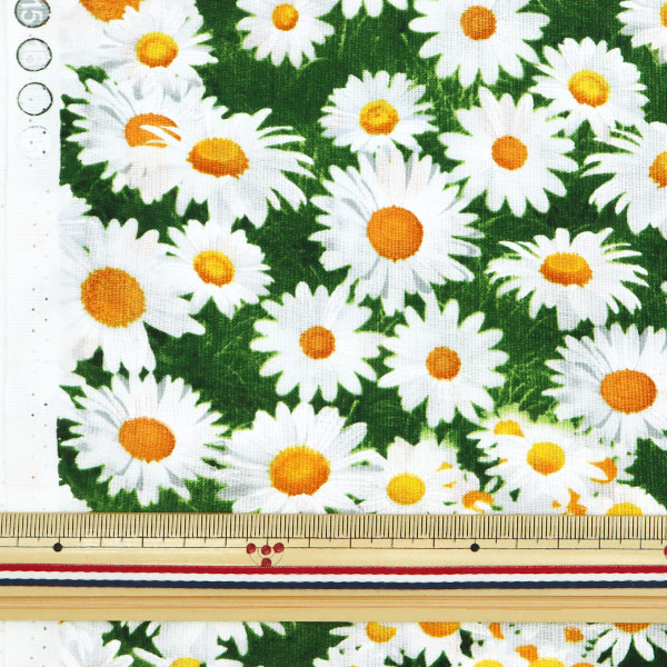 ★D3★松岡リン アーカイバル インクジェットプリント 限定100部「岩下関」 ☆D3☆松岡リン アーカイバル インクジェットプリント 限定100部