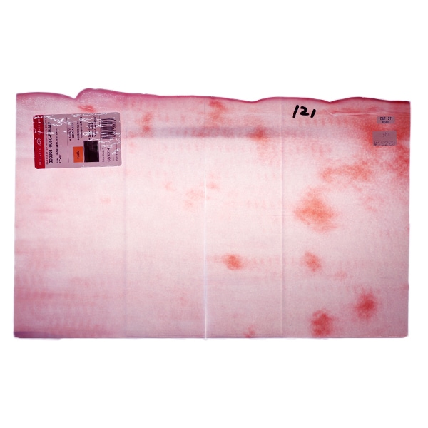 ���ƥ�ɥ��饹 �إ֥륺���� BUT-T0301��