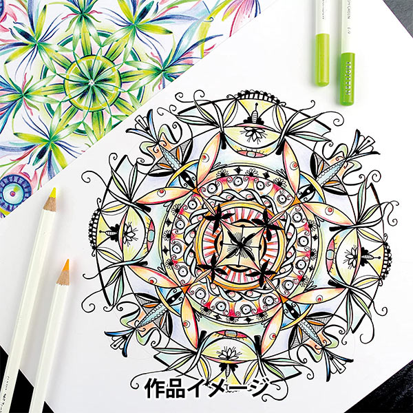 ����ɮ �ؿ���ŵ ñ�� ������󥰥��� CI-RF5�� Tombow �ȥ�ܱ�ɮ