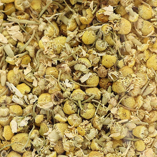 フラワー材料 『ナチュラルハーブ カモミール Natural Chamomile