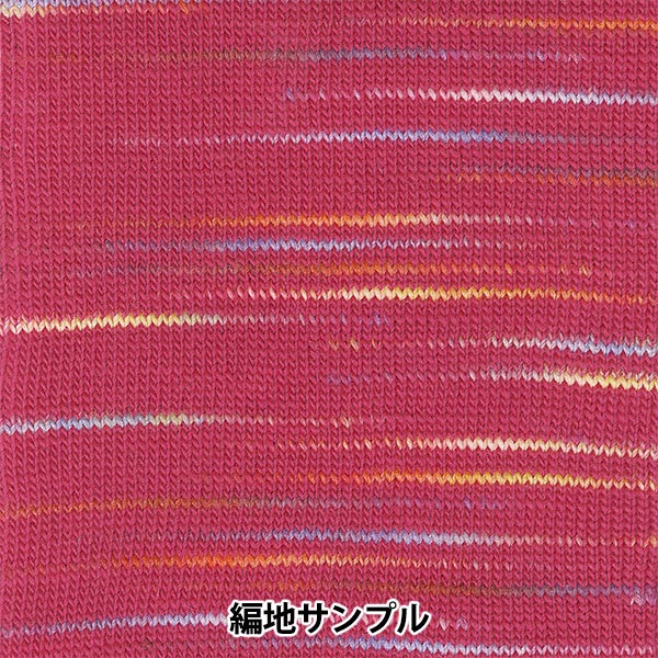 雪 秋冬毛糸 『SKI TRUENO (スキー トレノ) 2713番色』 SKIYARN