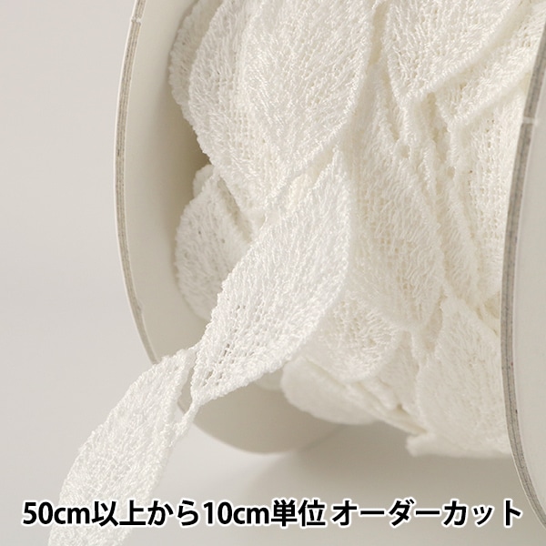 1_000000051538.jpg