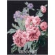 �ɤ��夦���å� �إˡ��ɥ�ݥ���ȥ��å� DMC�ߥ롼�������Ѵۥ��쥯����� ��ð�λ� C123K/81�� DMC �ǥ������ॷ��