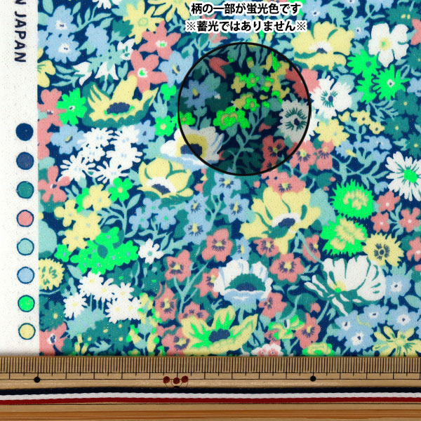 ❤️直筆 サイン入り 希少CD★タウポウ フラ・ハート廃盤Taupou帯付き ❤️直筆 サイン入り 希少CD☆タウポウ フラ・ハート廃盤Taupou