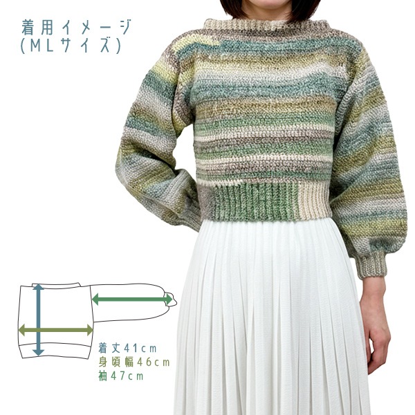 Ԥʪå SienaԤ 硼Ⱦ楻 ML 5ֿ  ڥ楶䥪ꥸʥ