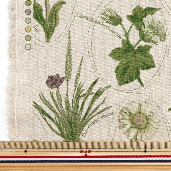 数量5から】 生地 『綿麻キャンバス 植物図鑑柄 ライフグリーン CLPLEN