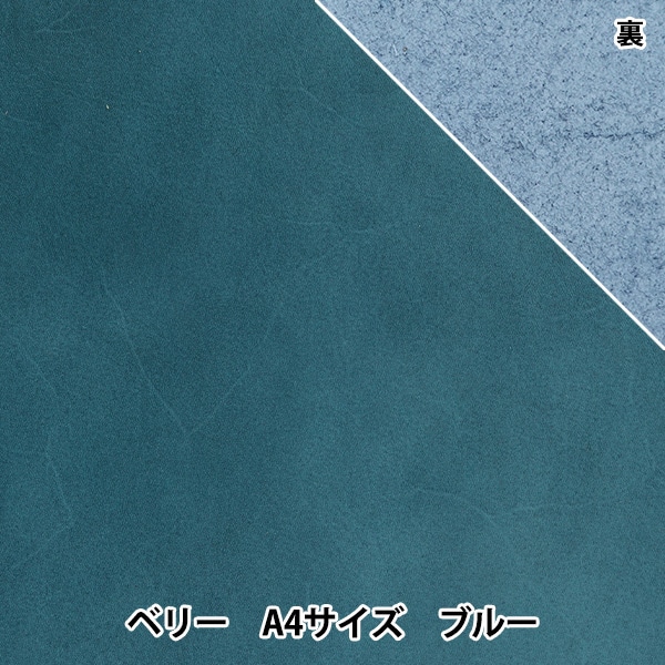 1_000000154240.jpg