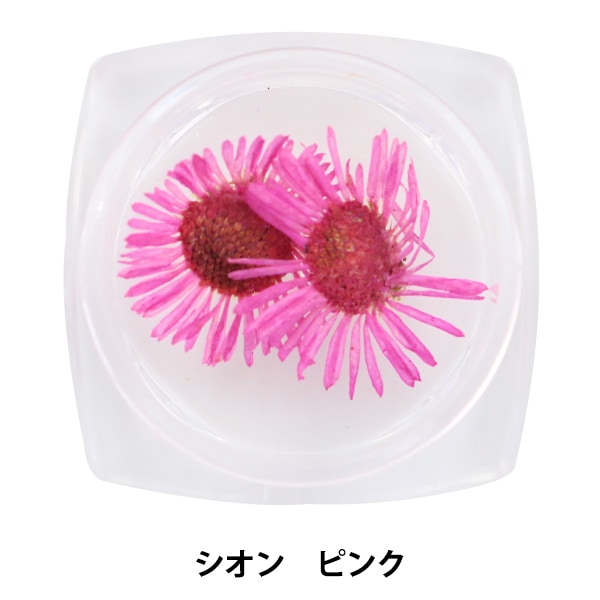 プリザーブドフラワー 『レジンフラワーパーツ シオン パープル N-65