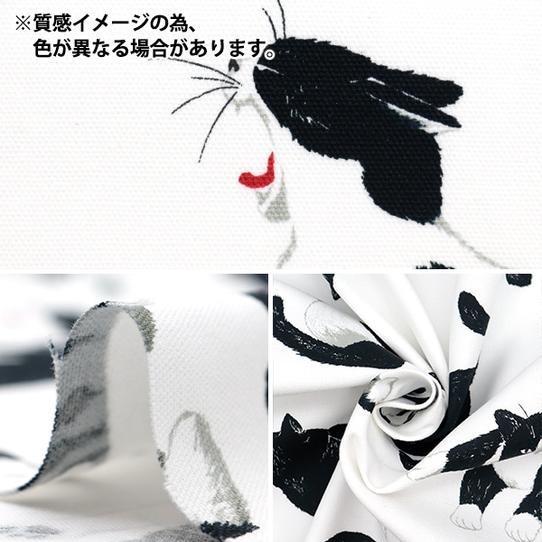 【ねこ】チエコサク120cm 2点 チエコサク】セカンドシューズ – ミキハウスオフィシャルサイト