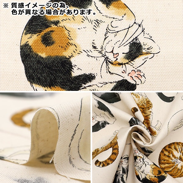 数量5から】 生地 『オックス アニマル ニャンモナイト ブルー AP45806