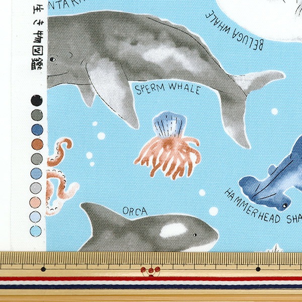数量5から】 生地 『オックス カラフルキャンバス 海の生き物図 ライト