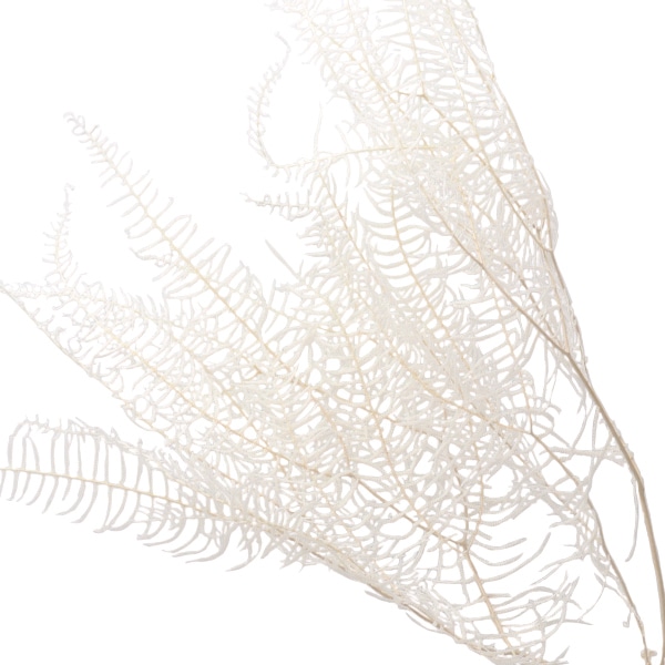 1_000000122541.jpg?1678209902