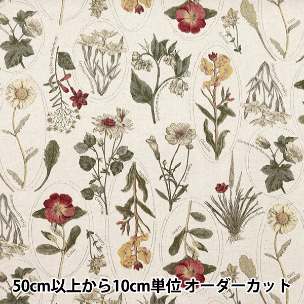 数量5から】 生地 『綿麻キャンバス 植物図鑑柄 ビタミン