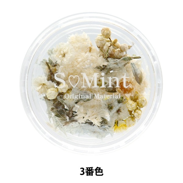 Rady リゾートフラワー メラミンプレート 2枚セット Rady リゾートフラワー メラミンプレート 2枚セット