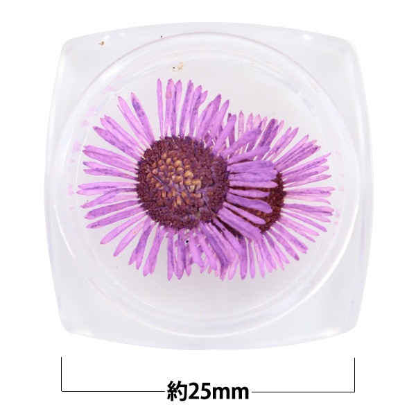 2_000000058241.jpg?1678209902