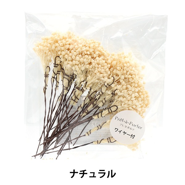 カスミソウ カラーサンプル（かすみ草） - 京華クラフト