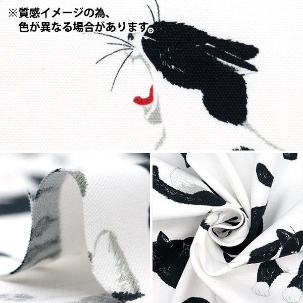 数量5から】 生地 『オックス ねこ ブルーグリーン OX35406-2C』 生地