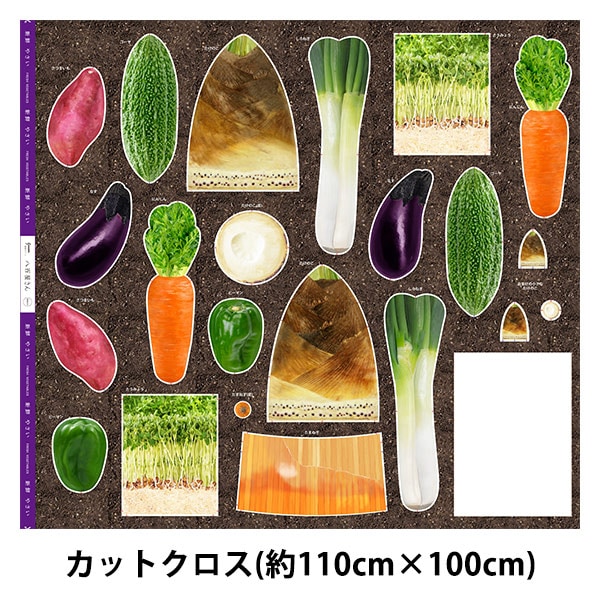 ���� ��Ȭɴ������ �����Τ� �ѥͥ�ץ��� ���åȥ����� ��110cm����100cm C-TAKENOKO��