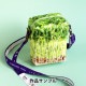���� ��Ȭɴ������ �����Τ� �ѥͥ�ץ��� ���åȥ����� ��110cm����100cm C-TAKENOKO��