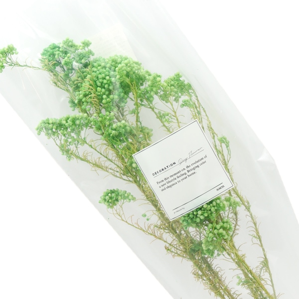 確認用 土と風の植物園 - ドライフラワー］ライスフラワー商品ページ 5gライスフラワー プリザーブドフラワー花材
