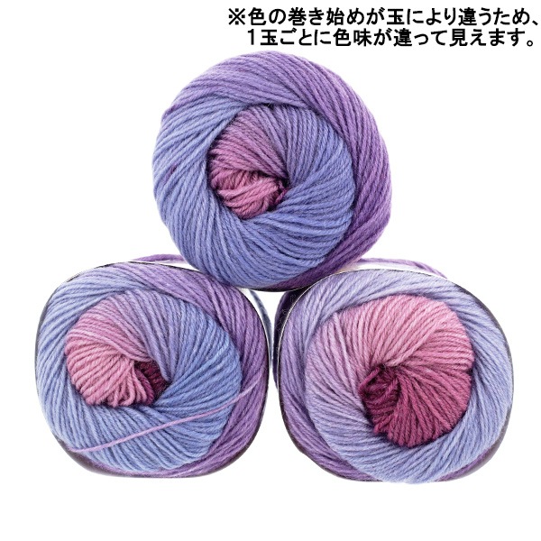 唯一。山採りソヨゴ。 ソックヤーン毛糸 『リトルソック 4番色』 World Festa ワールド