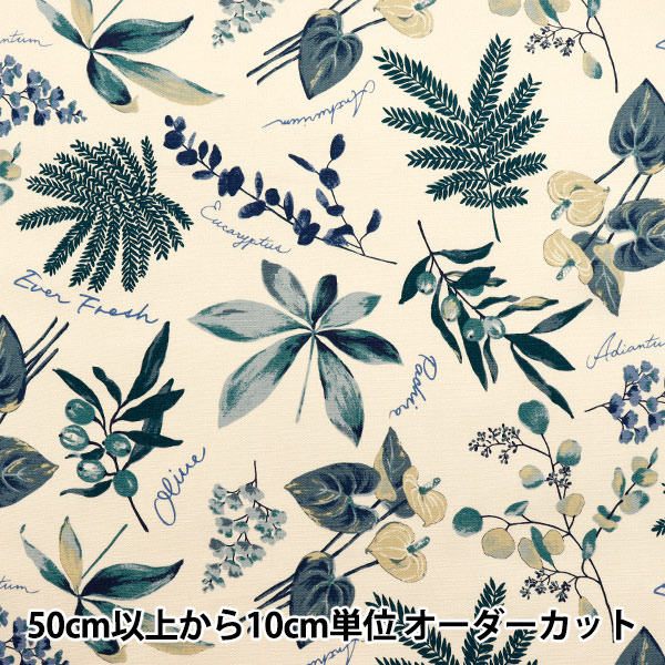 数量5から】 生地 『オックス ハウスプランツ ミント SC10672S-C