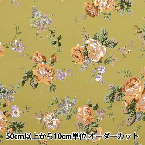 ラウハラ\"限定生葉” 0621-KG4-00 '21NinjaZX-10R/RR用BEETラジエターガード｜その他