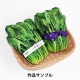 ���� ��Ȭɴ������ ��� �ѥͥ�ץ��� ���åȥ����� ��110cm����100cm C-HAKUSAI��