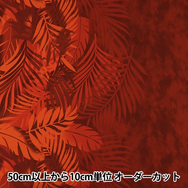 ڿ5  إޥʥ TCϥ磻ץ ǡ å YFOP0337