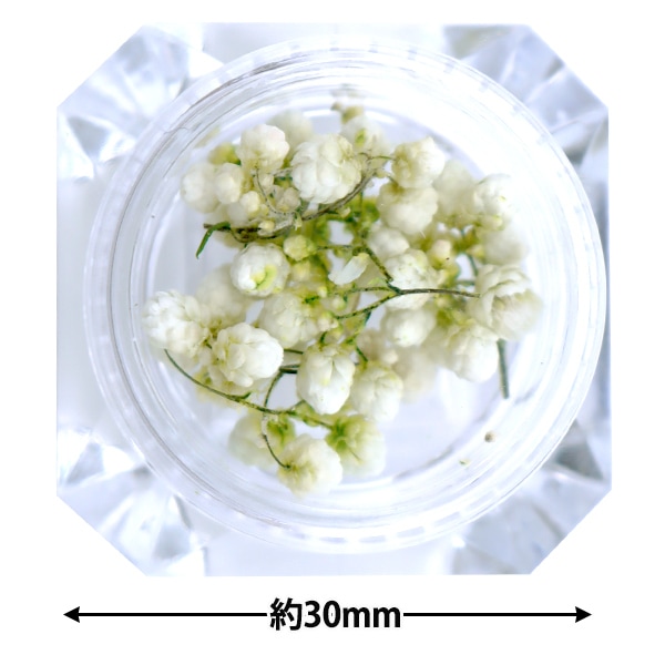 ドライフラワー 893bb4ee410143c705e22befc82490