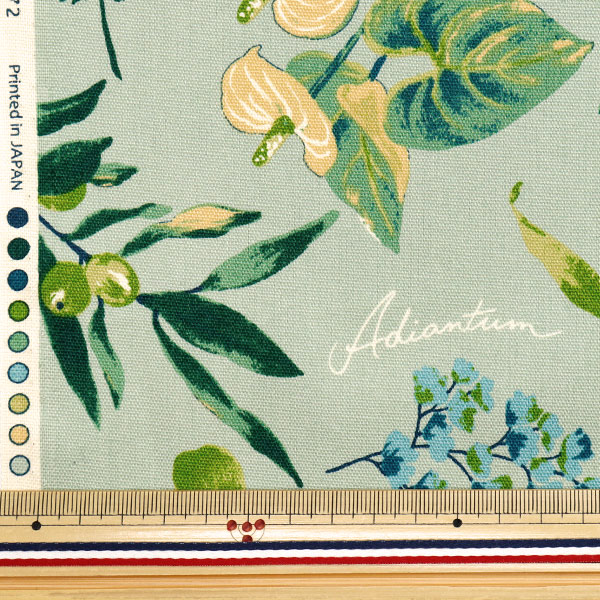 数量5から】 生地 『オックス ハウスプランツ ミント SC10672S-C