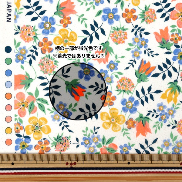 イメージ　わたる wdsベンジャミンムーア グリーン tropical turquoise_2052-30